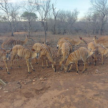 Call Of The Wild Lodge Hoedspruit Dış mekan fotoğraf