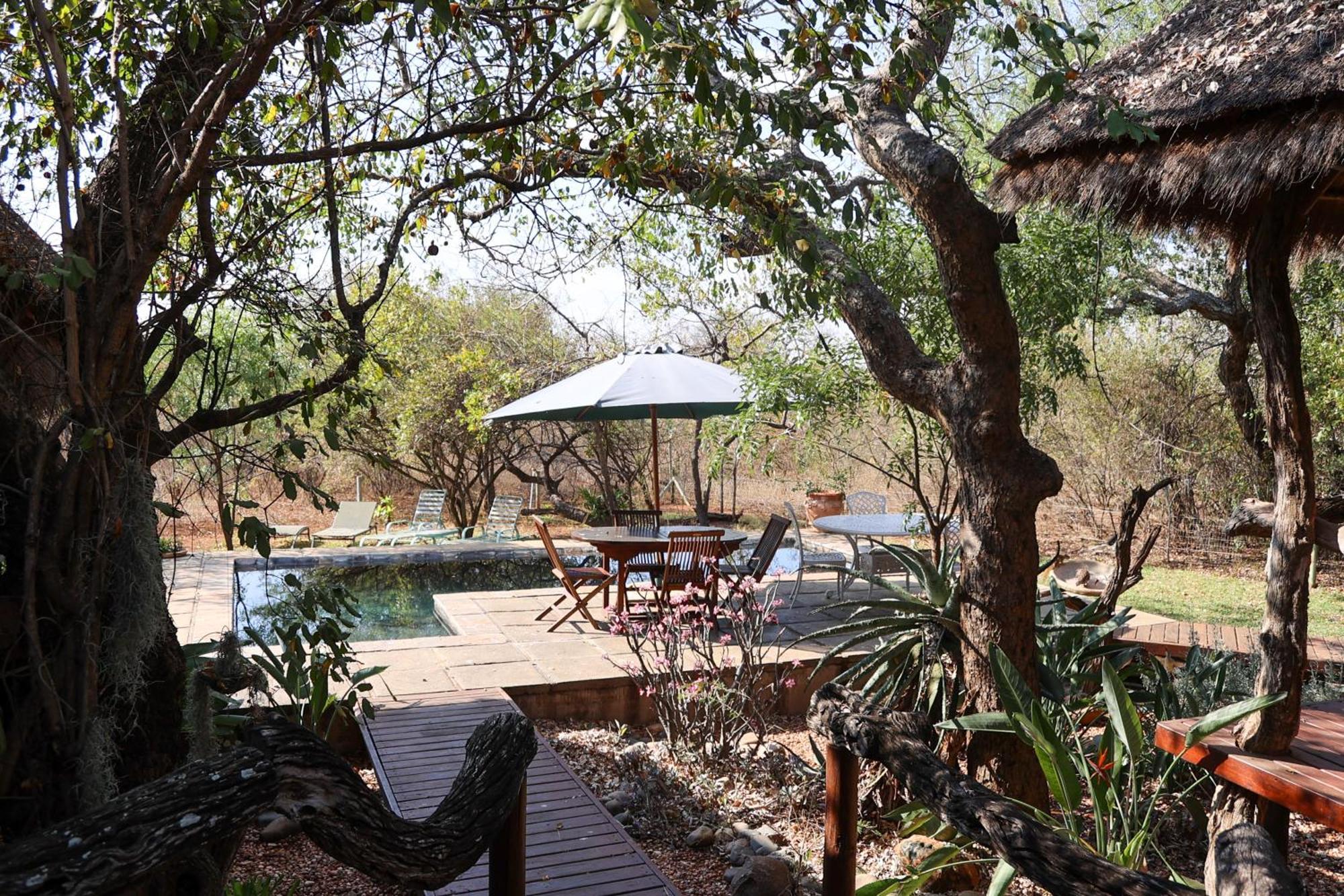 Call Of The Wild Lodge Hoedspruit Dış mekan fotoğraf